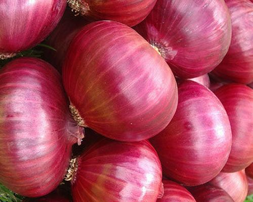 Fresh Red Onion 01