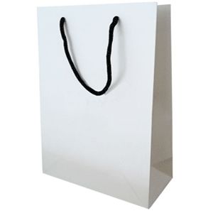 Paper Bag 01