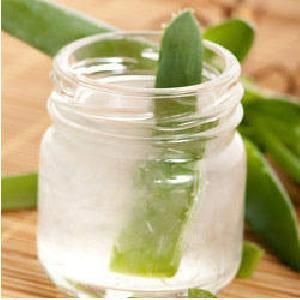 Aloe Vera Pulp 02