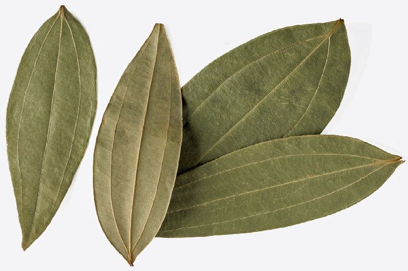 Dried Bay Leaves 04