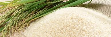 Non Basmati Rice 01