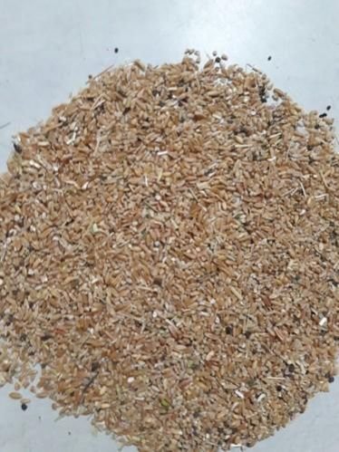 cattle feed raw material 04