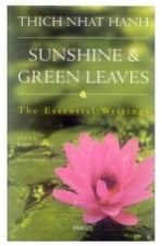 Sunshine & Green Leaves