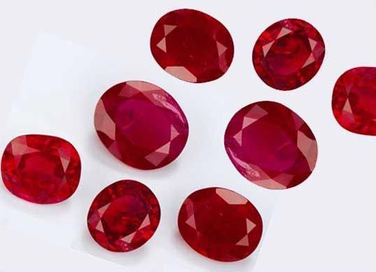 Item Code : HGOKIND 2