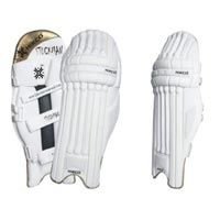 Cricket Batting Pads 05
