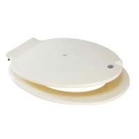 Celeste With Brass Rod (Code No. J-7810)