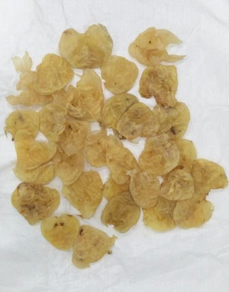 Cat Fish Maws 450-500 Pcs kg