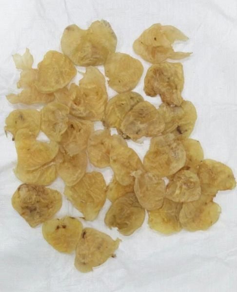 Closed Catfish 50 Pcs Kg