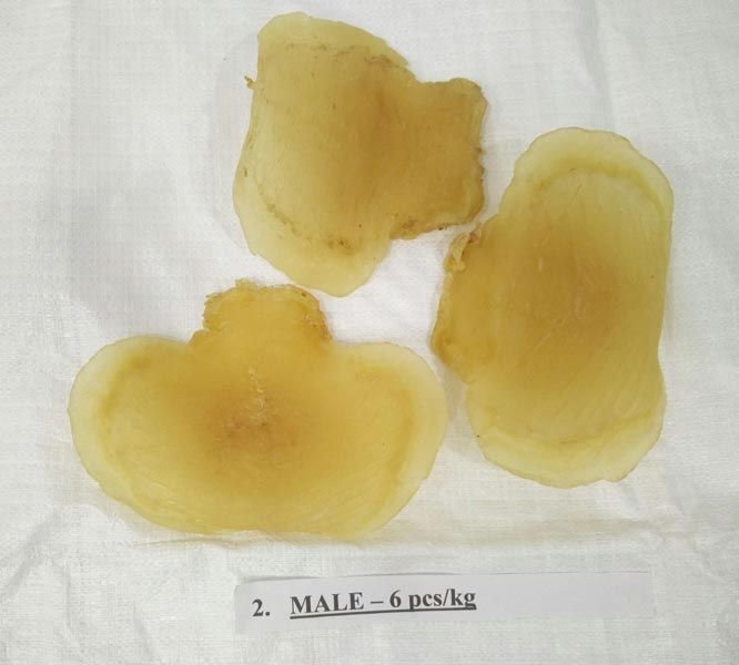 Ghol Fish Maws 6 Pcs kg