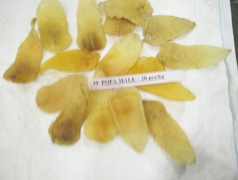 Jew Fish Maws (Male) 20 Pcs kg