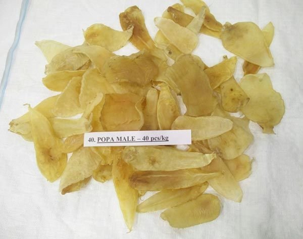 Jew Fish Maws (Male) 40 Pcs kg