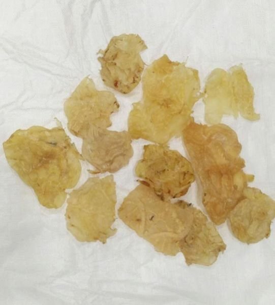 Open Cat Fish Maws 25 Pcs kg