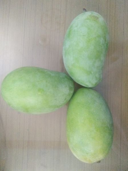 Kesar Mangoes