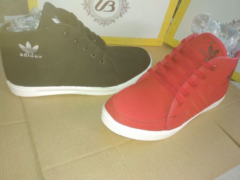 Mens Canvas Shoes 13