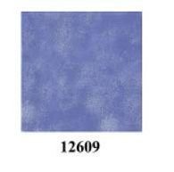 12609 300mm x 300mm Matt Series Digital Printed Tile