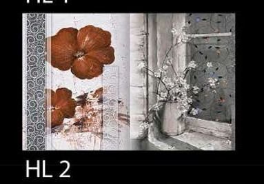 18655 HL 2 Rustic Series Digital Printed Tile