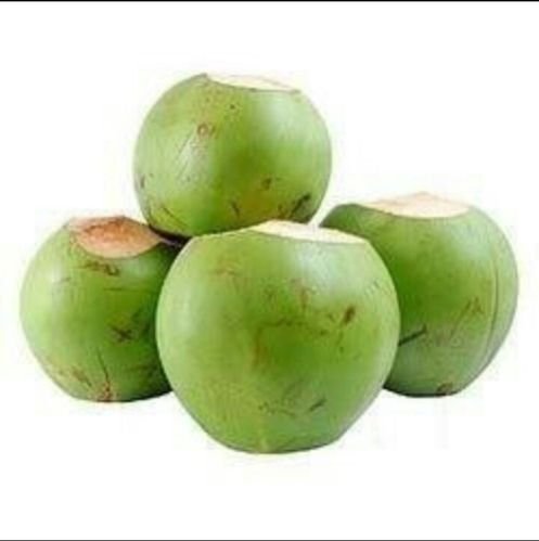 Green Tender Coconut 02