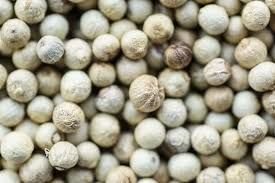 W1 White Pepper Seeds