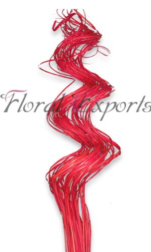 Decorative Ribbon 01