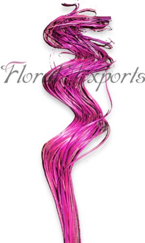 Decorative Ribbon 02