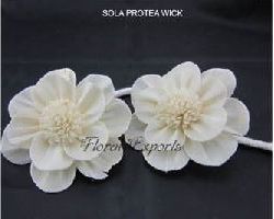 Sola Wood Flower 07