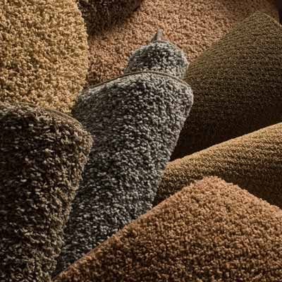 Cut Pile Carpet 02