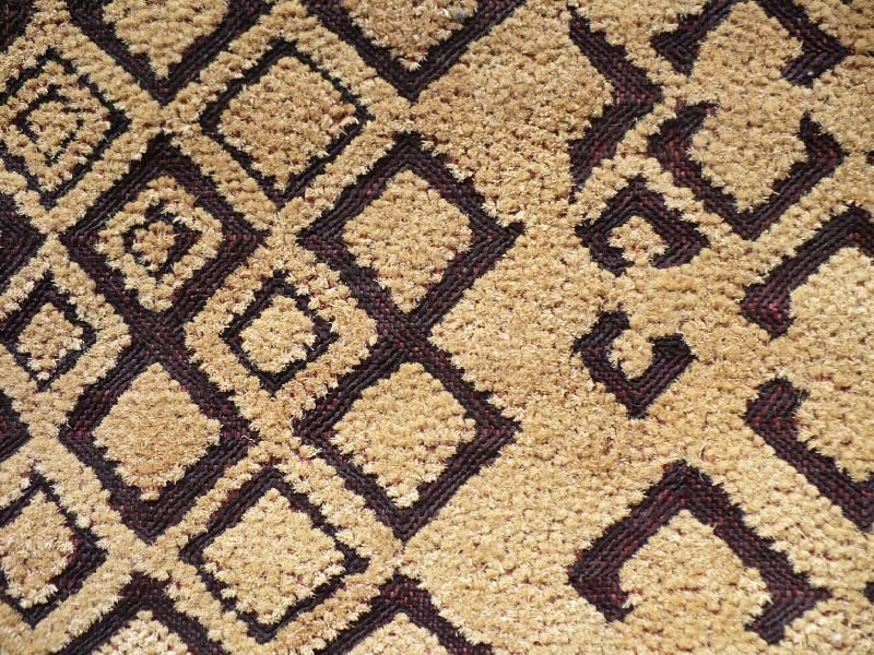 Cut Pile Carpet 04
