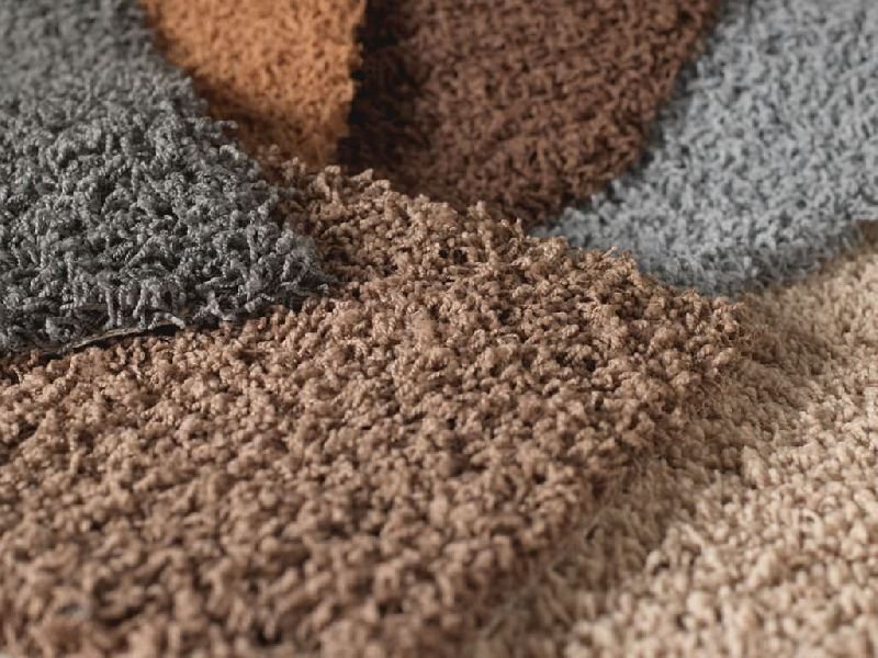 Cut Pile Carpet 05