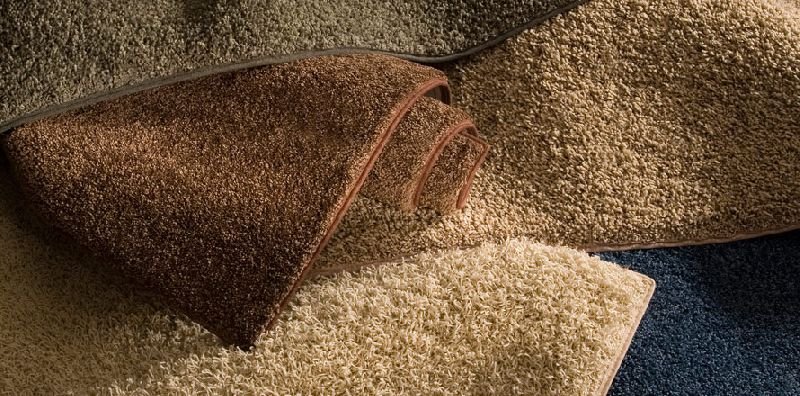 Cut Pile Carpet 06