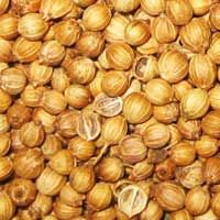 Coriander Seed
