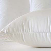 Duck Down Pillow