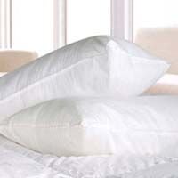 Mulbery Silk Pillow 