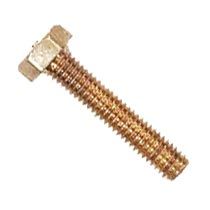 Brass Bolts