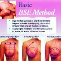 Basic BSE Method