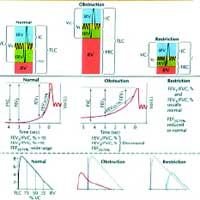 Pulmonary Function