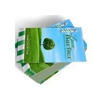 Japan Ivory Visiting Cards