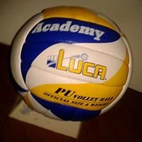 Volleyball (Academy)