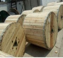 All Aluminium Conductor [AAC] 03