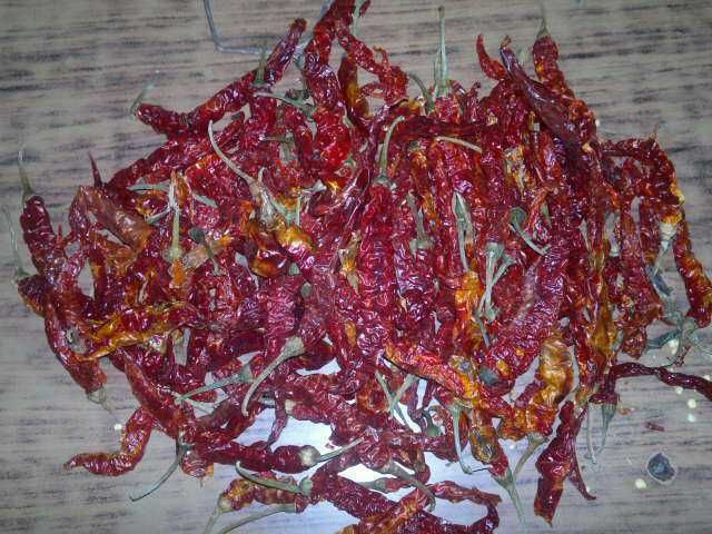 Teja Dried Red Chilli