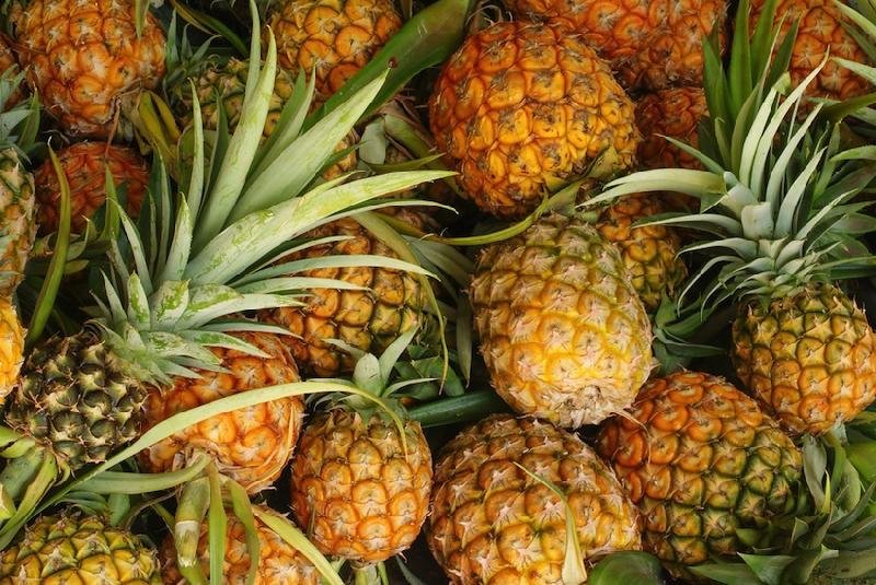 Fresh Pineapple 01