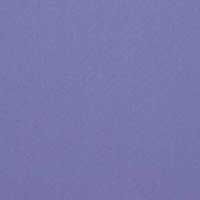 Plain Weave Polyester Shirting Fabric