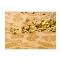 Wall To Wall Carpet 01