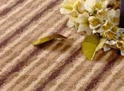 Wall To Wall Carpet 02