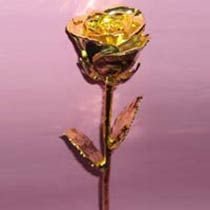 Gold Plated Roses (14 Inch.)