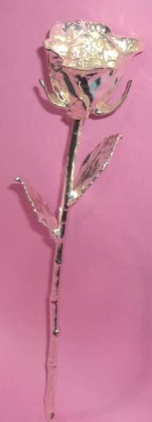 Silver Plated Roses (14 Inch.)