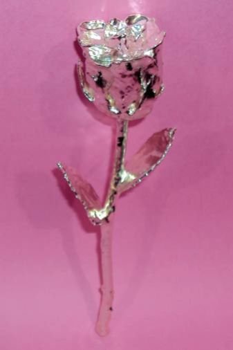 Silver Plated Roses (6 Inch.)