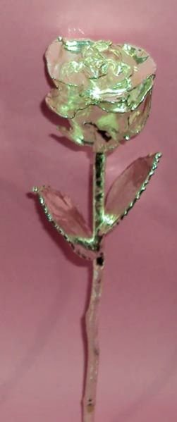 Silver Plated Roses (9 Inch.)