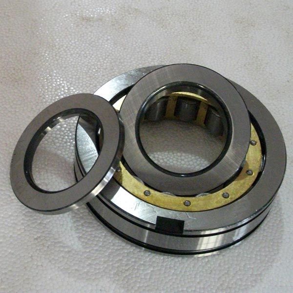 Cylindrical Roller Bearings
