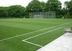 Artificial Grass