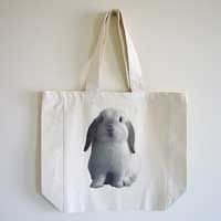 Non Woven PP Bag (004)